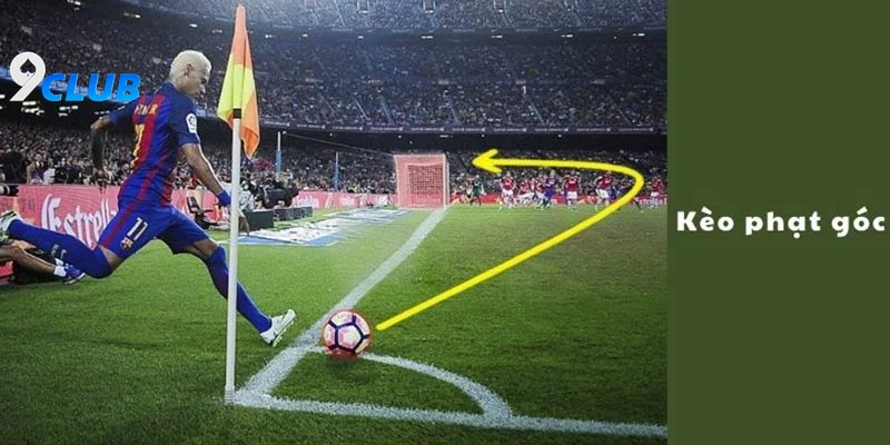 Phân Tích Dữ Liệu Phạt Góc Trước Trận